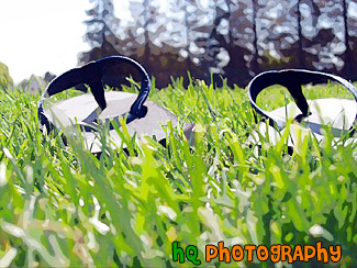 Sandals in Grass painting