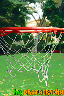 Basketball Hoop painting