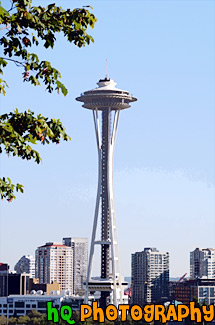 Space Needle painting