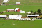 Aerial View of Farm digital painting