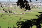 View of Farms & Enumclaw digital painting