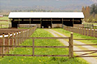 Farm Shed & Gate digital painting