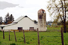 White Barn, Silo & Tree digital painting