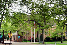 Eastvold Chapel Through Trees digital painting