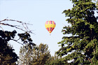 Hot Air Balloon Through Trees digital painting