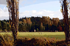 Farmland in Countryside of Orting, Washington digital painting