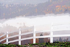 White Fence &  Fog digital painting