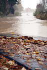 Puyallup River Flooding Over Road digital painting