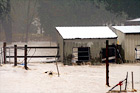 Farm Shed in Flooded by River digital painting