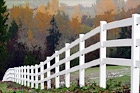 White Fence & Trees digital painting