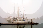 Row of Sailboats in Fog digital painting