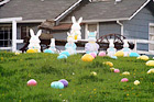 Easter Display in Yard digital painting
