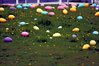 Large Easter Eggs on Grass digital painting
