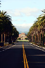 Stanford University Palm Drive Entrance digital painting