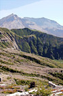 Mt. St. Helens Vertical digital painting