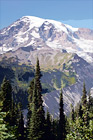 Vertical Mt. Rainier Close Up digital painting