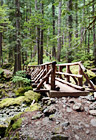 Hike & Wooden Bridge digital painting