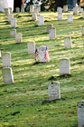 Graves on a Hill digital painting