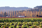 Farm in the Fall digital painting