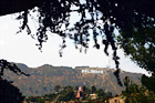 Hollywood Sign in Distance digital painting