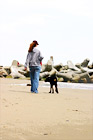 Walking Dog on Beach digital painting