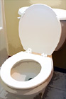 White Toilet digital painting