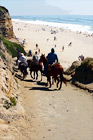 Horses Heading to the Beach digital painting