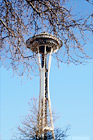 Tree Branches in Front of Space Needle digital painting