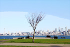 Seattle, Tree & Blue Sky digital painting