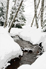 Water Creek Between Snow digital painting