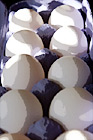 Eggs Close Up digital painting