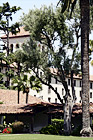 Nobili Hall Behind Trees at Santa Clara University digital painting