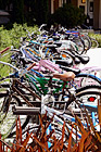 Line of Bikes at College digital painting