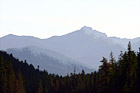 Hills of Mt. Rainier National Park digital painting