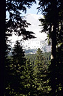 Looking at Mt. Rainier Through Trees digital painting