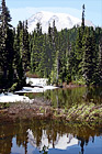 Reflection Lake, Trees, & Mt. Rainier digital painting
