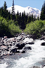 Mt. Rainier & River digital painting