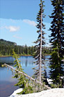 Reflection Lake, Trees & Snow digital painting