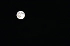Full Moon at Night digital painting