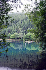 Early Morning Lake Reflections digital painting