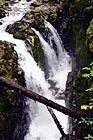 Sol Duc Falls digital painting