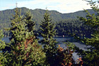 Trees & Mountains Around Lake Cresent digital painting