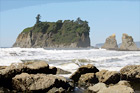 Ruby Beach Sea Stacks digital painting