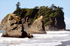 Ruby Beach Sea Stacks & Waves digital painting