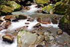 Ladder Creek & Rocks digital painting