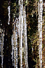 Icicles Close Up digital painting