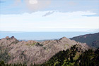 Olympic Peninsula digital painting