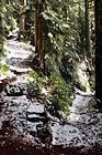 Switchback Hiking Trail digital painting