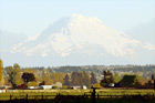 Mt. Rainer & Farmland digital painting