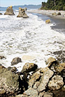 Beach and Rocks at Ruby Beach digital painting